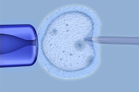 http://foshan.huochezhan.net/post/208.html|佛山捐卵费用