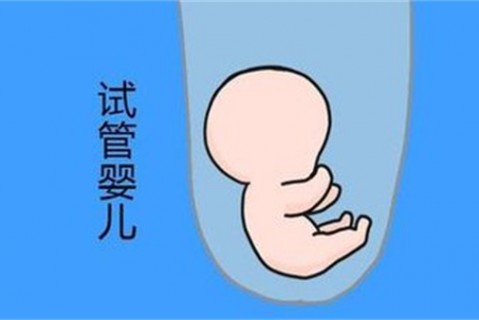 培养佛山捐卵宝宝艺术细胞的小技巧